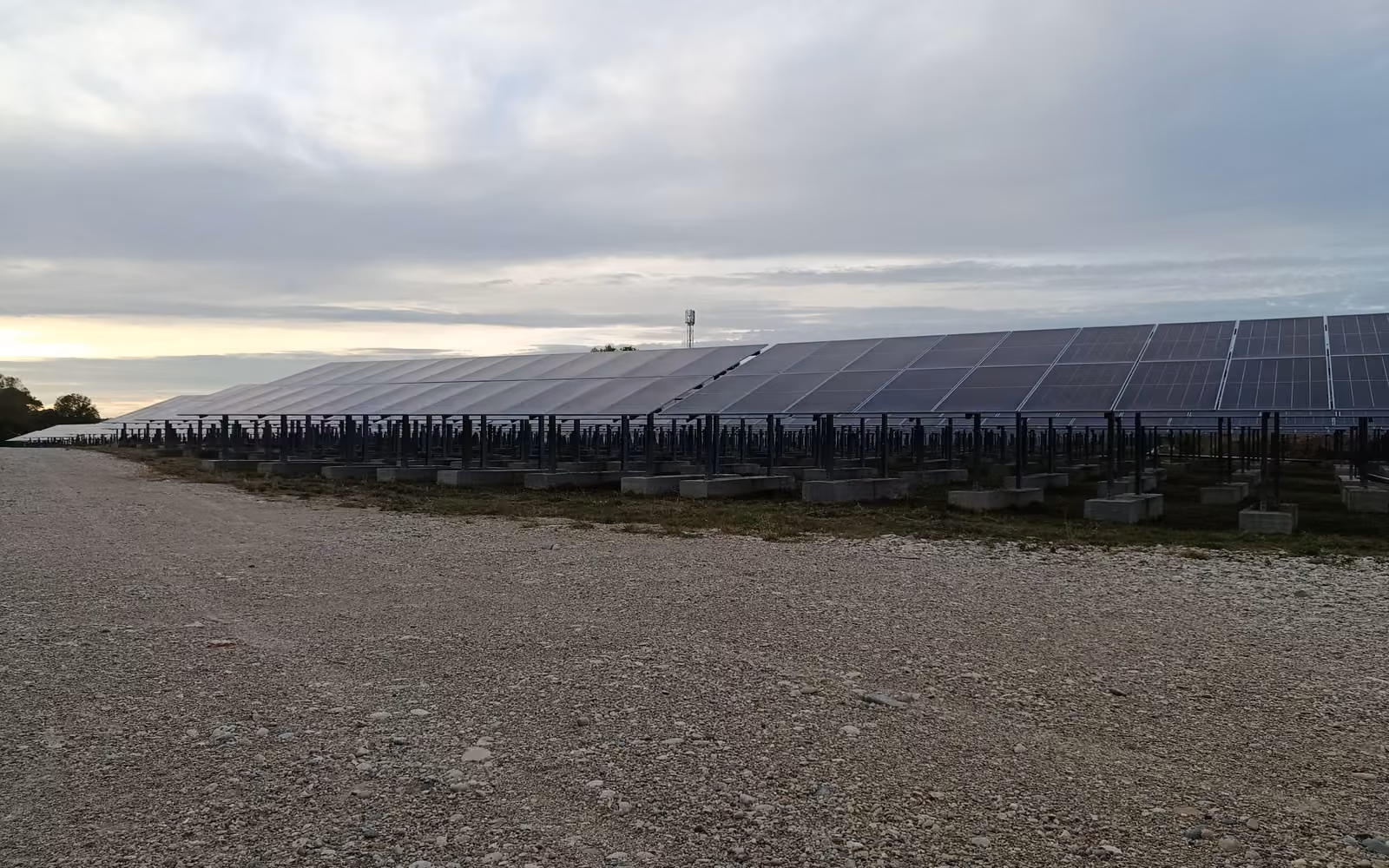 Vue d'ensemble d'une centrale photovoltaïque au petit matin, rangées de panneaux à perte de vue